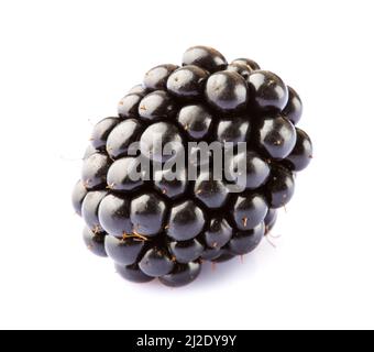 Single ripe blackberry isolated on white background Stock Photo