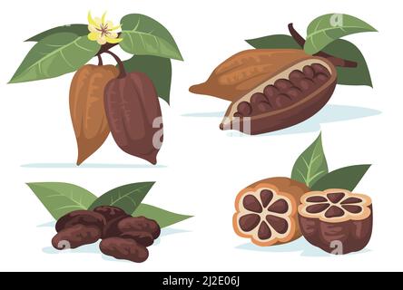 Colorful cocoa beans flat illustration set. Cartoon chocolate beans from cocoa tree with leaves isolated vector illustration collection. Plantation an Stock Vector