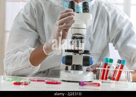 Laboratorium Examination laboratory examination, blood examination, blood test, laboratory ...