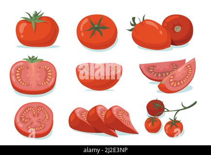 Fresh tomatoes set. Red whole and cut vegetables, halves and slices isolated on white. Vector illustration for organic food, vegetarian diet, cooking Stock Vector