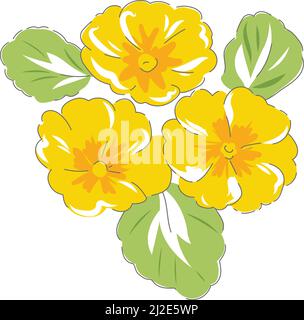 Primula spring flower botanical hand drawn vector illustration set isolated on white. Vintage romantic cottage garden florals print.  Stock Vector