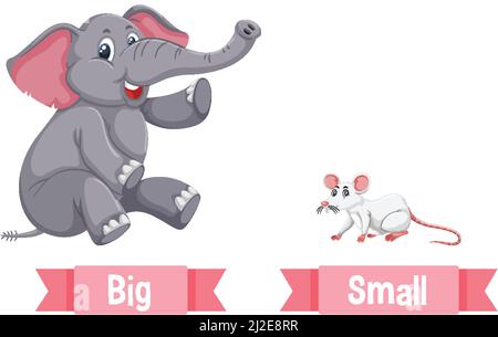 Opposite wordcard for big and small illustration Stock Photo - Alamy