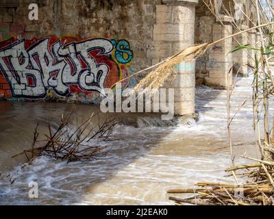 Environmental landscape of invasive reeds (Phragmites australis) tossed around by the flooding Algar river near Altea, Costa Dorada, Spain Stock Photo