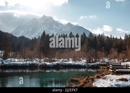 Nature photographed with retro instant film camera for vintage style picture. Zelenci, Kranjska gora, Slovenia Stock Photo