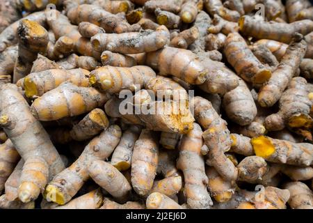 A close up shot of turmeric root . Turmeric is a common spice that comes from the root of Curcuma longa. It contains a chemical called curcumin, which Stock Photo