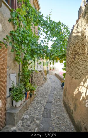 A narrow street in Acri, a village in Calabria, Italy. Stock Photo