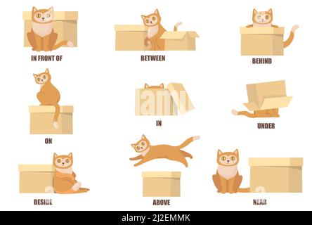Learning prepositions with help of cat and box flat set for web design. Cartoon cat above, behind, between, near and under box isolated vector illustr Stock Vector