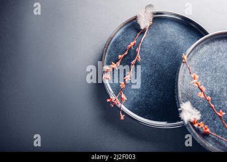Handmade ceramic plates decorated with spring branches. Close up of blue vintage dishes on grey background. Space Stock Photo