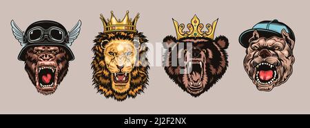 Animal angry characters set. Gorilla in biker helmet, lion and bear in riyal monarch crown, bulldog in gangster cap with open jaws. Vintage vector ill Stock Vector