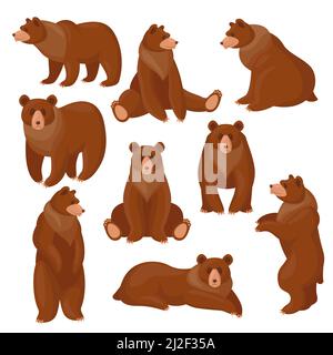 Brown bears set. Different views and poses of cute cartoon grizzly sitting, standing, walking isolated on white. Vector illustrations for wildlife, pr Stock Vector