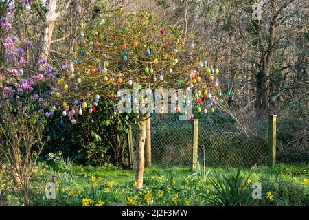 bright multi coloured easter eggs hanging from a tree Stock Photo