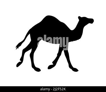 Vector black flat dromedary one-humped camel silhouette isolated on white background Stock Vector