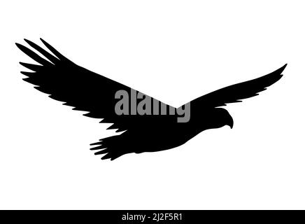 Vector flying American eagle silhouette isolated on white background Stock Vector