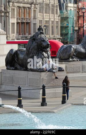A young male sitting and posing between the paws of one of the Lion statues in Trafalgar Square Central London England UK Stock Photo