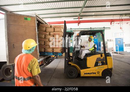 Workers unloading cocoa cake Mars Chocolate Indonesia warehouse in West Sulawesi, Indonesia, Asia. Stock Photo