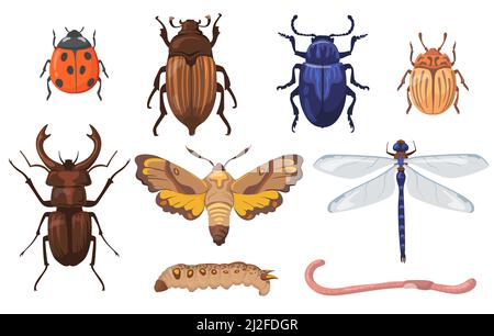 Colorful different insects, worms and bugs flat set for web design. Cartoon field beetles, maggot, earthworm and dragonfly isolated vector illustratio Stock Vector