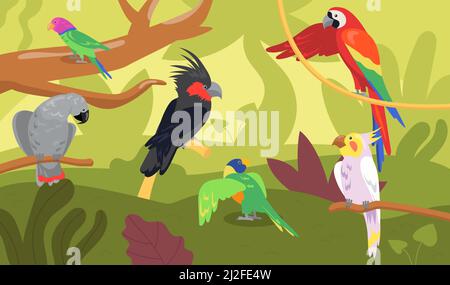 Different kinds of parrots in forest or jungle. Wild tropical birds, exotic multicolored ara, macaw flat cartoon vector illustration. Wildlife, jungle Stock Vector