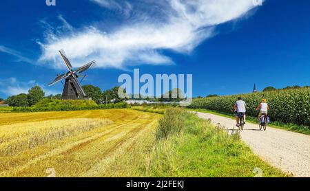 View on cycling path with cyclists couple in rural dutch limburg maas landscape with windmill (Molen de grauwe beer) against blue summer sky - Beesel, Stock Photo