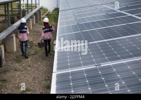 Female electrical technicians in uniform inspect and maintain solar panels on Karampuang Island, Indonesia, Asia. Stock Photo