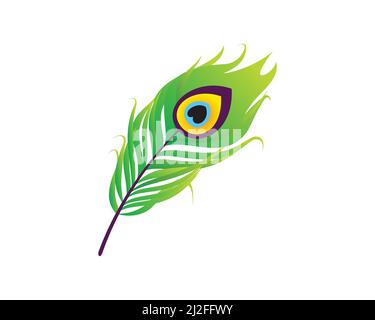 Detailed Elegant Peacock Feather Illustration Vector Stock Vector