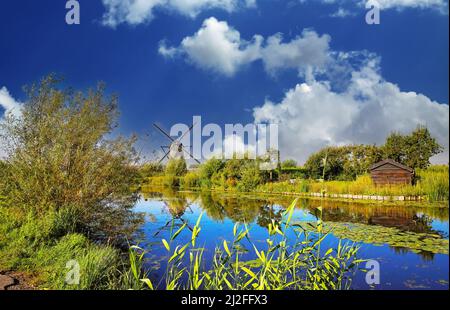 View on typical idyllic dutch rural beautiful landscape with reed grass, trees, windmill and old wooden house, deep blue summer sky - Kinderdijk, Sout Stock Photo