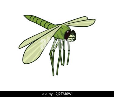 Detailed Flying Dragonfly with Green Color Illustration Vector Stock Vector