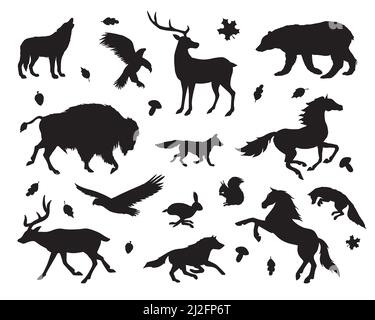 Vector black set bundle of wild American animals silhouette isolated on white background Stock Vector