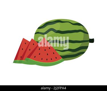 Detailed Watermelon Together with the Slices Illustration Vector Stock Vector