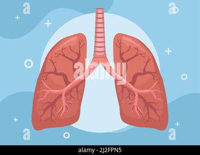 realistic lungs organ Stock Vector