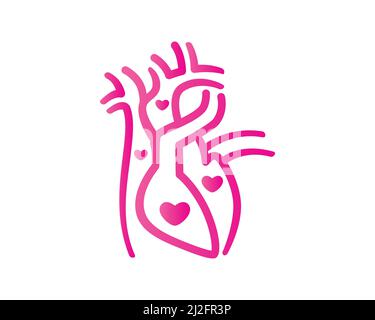 Healthy Human Heart and Blood Flow with Love Symbol Vector Stock Vector