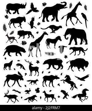 Vector flat black set bundle of different wild animals silhouette isolated on white background Stock Vector