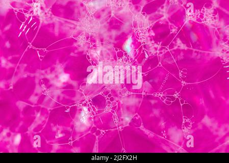 The background of soap bubbles is bright pink or red. Shampoo foam. Bubbles in the water Stock Photo
