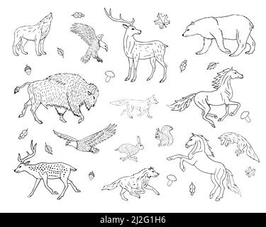 Vector hand drawn sketch set bundle of wild American animals isolated on white background Stock Vector