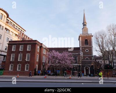 London, Greater London, England,  March 12 2022: St James's Anglican Church on Piccadilly Street with Cherry Blossom in front as pedestrians pass by. Stock Photo