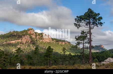 Pinares de rodeno, Teruel province, Spain Stock Photo