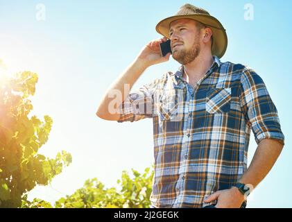 Getting some advice from a fellow farmer. Shot of a farmer talking on his phone while out in a vineyard. Stock Photo