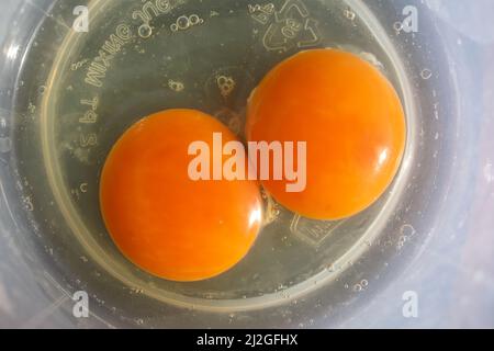 Double yolk in a chicken's egg. Stock Photo