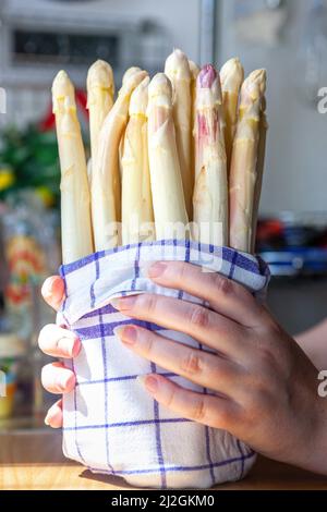 Berlin, Germany, 01.4.22, Hände halten Beelitzer Spargel attend Spargelzeit, Berlin Credit: Holger Much/17�Թ����� Live News Stock Photo