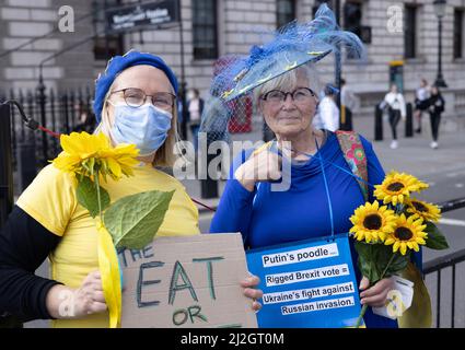 Ukraine War support with sunflowers and UK Government protest. Mature older women protesters protesting in front of parliament, Westminster London UK Stock Photo