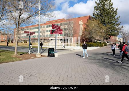 Holland Library from the Library Mall on the Pullman campus of Washington State University; The Reader statue on the façade by artist Dudley Pratt. Stock Photo