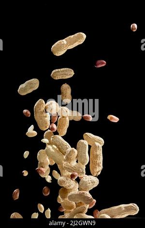 Realistic freeze motion of flying peanuts on black background. Stock Photo