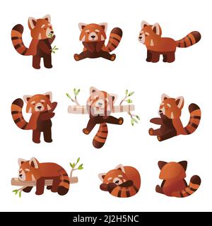 Cute red panda cartoon set. Vector illustration of chinese animal character from wild forest or pet from zoo in different poses, fluffy red panda with Stock Vector