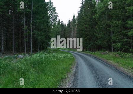 Empty country road leading through forest Stock Photo