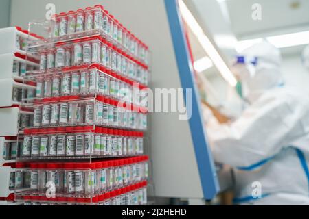 Beijing, China. 23rd Mar, 2022. A staff member works at a COVID-19 nucleic acid testing laboratory in east China's Shanghai, March 23, 2022. Credit: Ding Ting/Xinhua/Alamy Live News Stock Photo