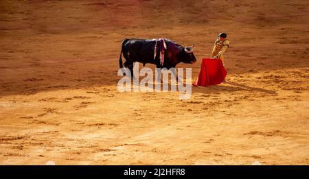 la Real Maestranza, Plaza De Toros, of Seville, Andalusia, spain, , Bullfighting with bulls and bullfighters, during the Feria De Abril in Sevilla Stock Photo