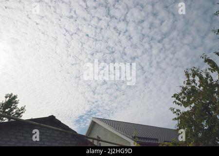 Blue sky with many altocumulus floccus translucidus small clouds. Stock Photo