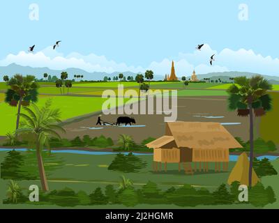 Rice fields in Thailand. Farmers' houses in green fields. Farmers plowing fields with sugar palm trees, rice fields, mountains, Buddhist temples and s Stock Vector