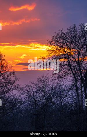 Sun beams in the dark sky at sunset. Stock Photo