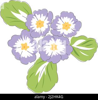 Primula spring flower botanical hand drawn vector illustration set isolated on white. Vintage romantic cottage garden florals print.  Stock Vector