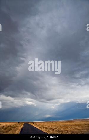 Thunderstorm over plains in Colorado Stock Photo